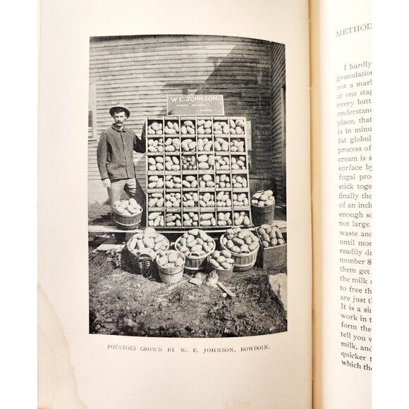 1901 Maine Board Of Agriculture Report Victorian HC Illustrated 1st Ed SHBS1 - Picture 6 of 6